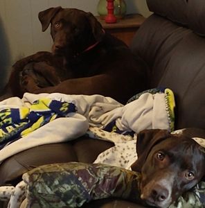 Meet your Posher, Adam